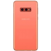 Samsung Galaxy S10 lite Achterkant Flamingo Pink