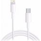 USB-C naar Lightning kabel voor Apple iPhone & iPad - 2 Meter